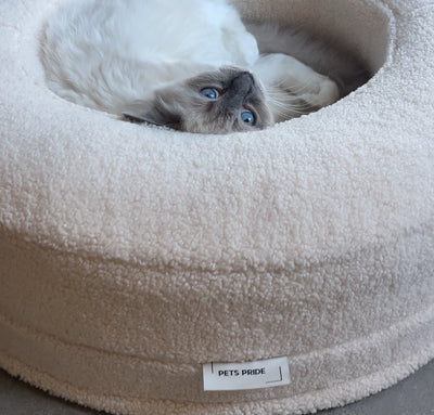The 5 places cats love to sleep (and how to upgrade)