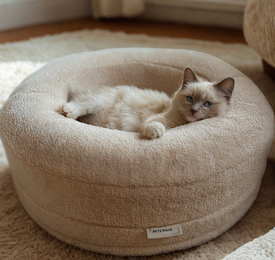 Why your cat deserves more than just a nap spot
