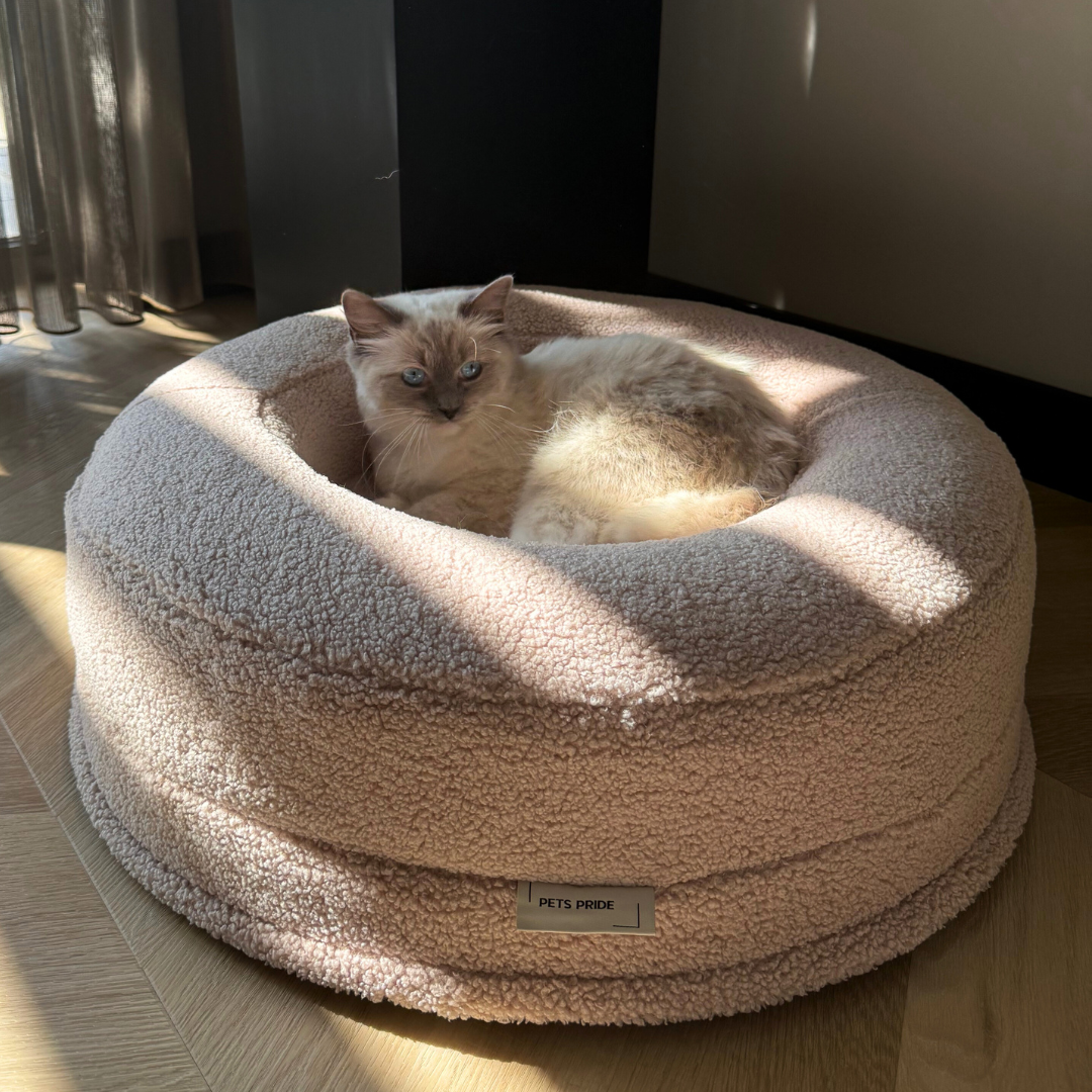 Bouclé Teddy Cat Bed - Latte