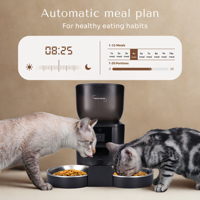 Feeder with Full HD camera - Double bowl
